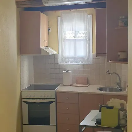 Summer Nest